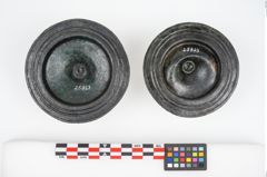Foto von Bronzephalere (NHMW-PRAE-025823)